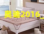 奥迪2016_a4l刷隐藏_2020奥迪a4l刷隐藏功能需要什么